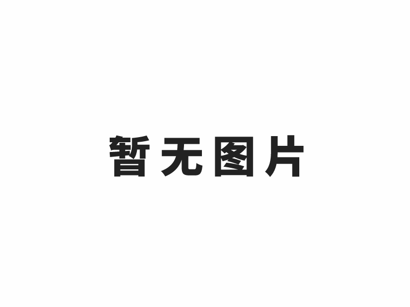 化工園區(qū)安全整治提升“十有兩禁”釋義